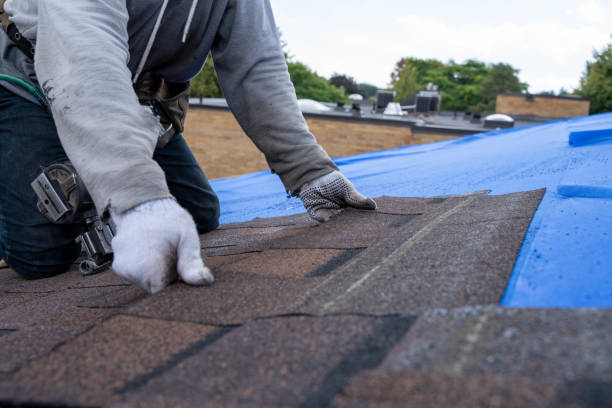 Best Storm Damage Roof Repair  in Brownsboro, TX